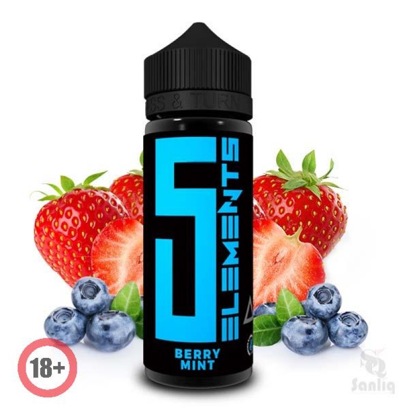 5 Elements Berry Mint Aroma 10ml